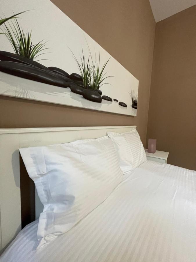 Schei Central Studios In The Heart Of Brasov Ngoại thất bức ảnh