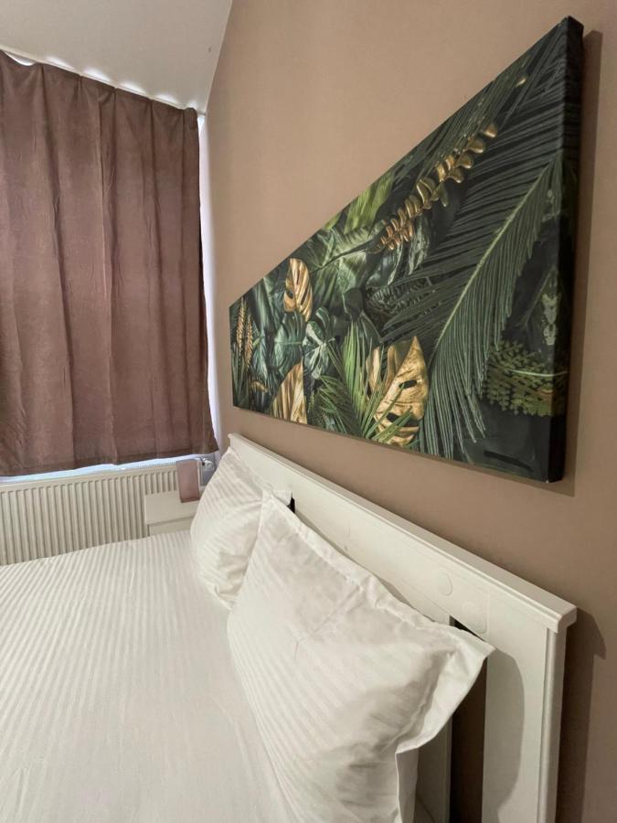 Schei Central Studios In The Heart Of Brasov Ngoại thất bức ảnh